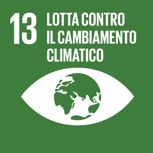Obiettivo di sviluppo sostenibile 13