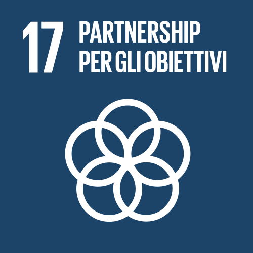 Obiettivo di sviluppo sostenibile 17