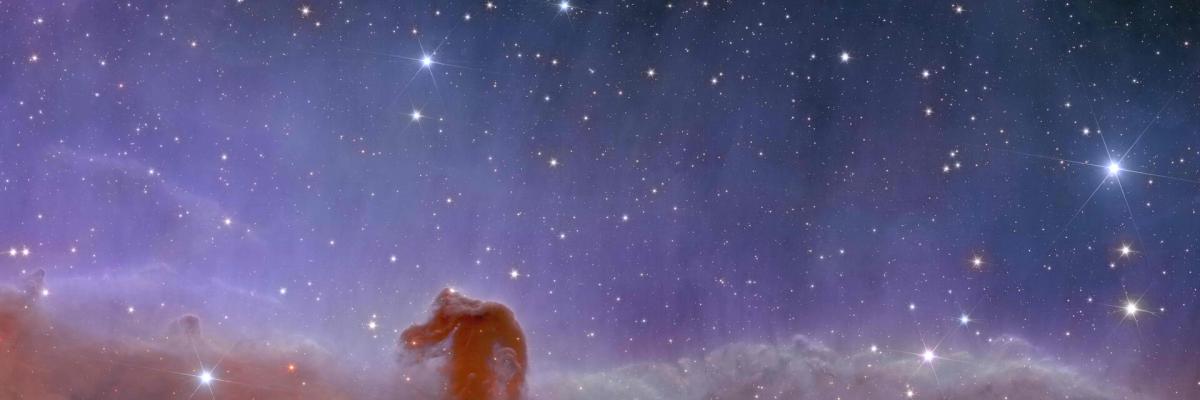 La nebulosa Testa di Cavallo