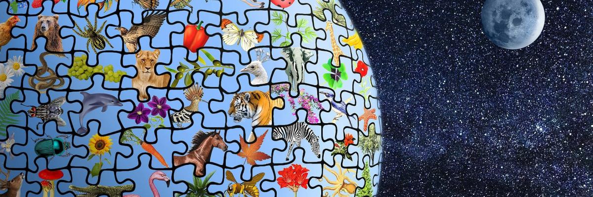 biodiversity