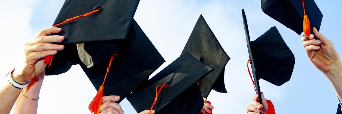 laurea