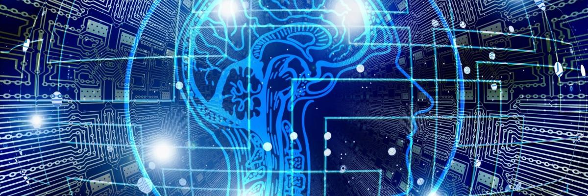 brain