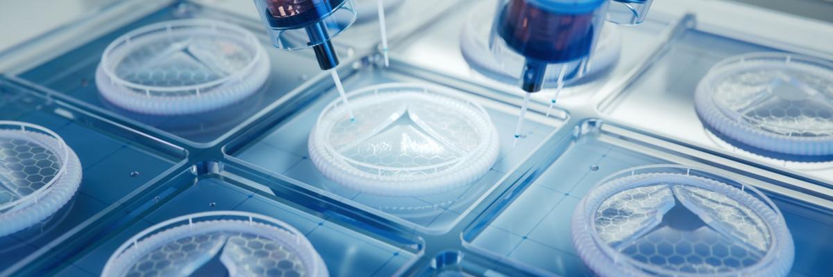 advanced functional materials