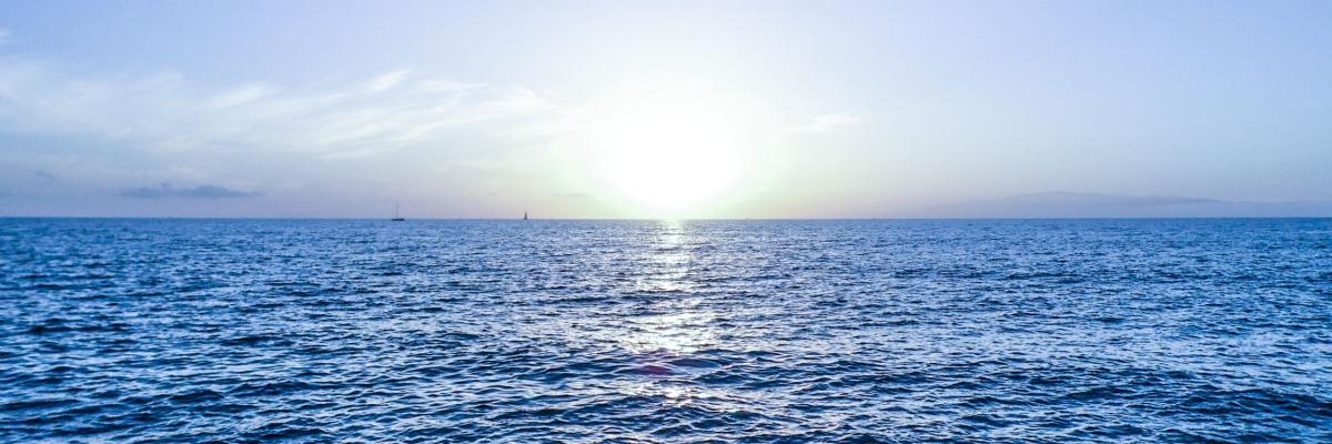 mare