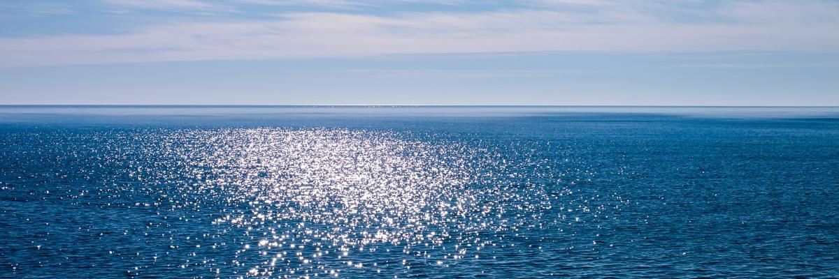 mare