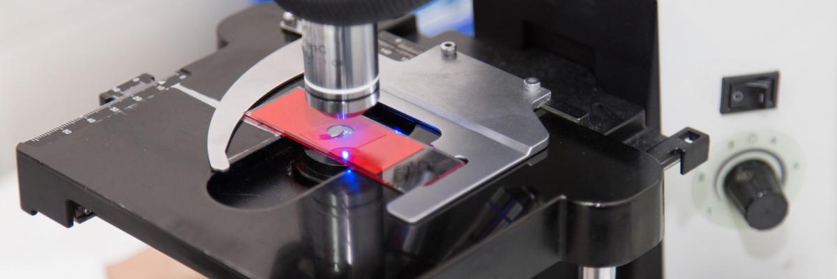 microscopio a fluorescenza