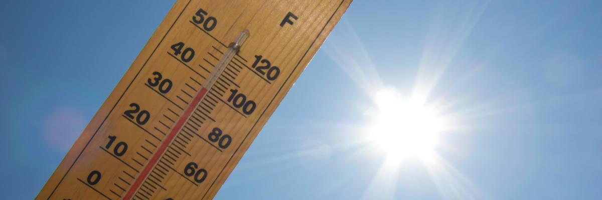 caldo