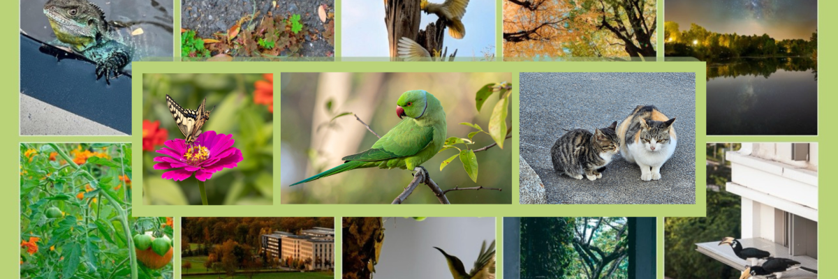 UniGe partecipa al Global Photo Contest (1).png