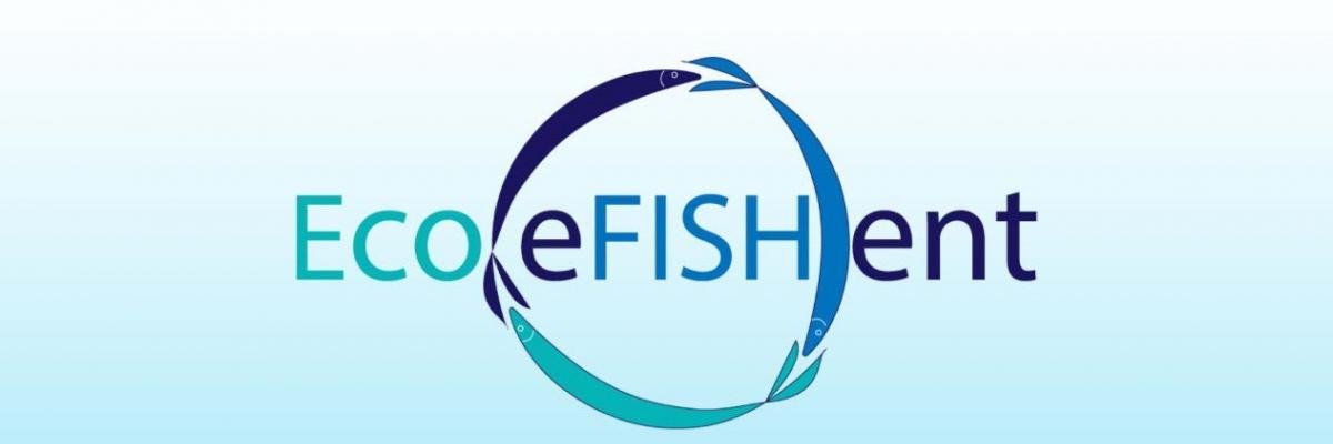 EcoeFISHent logo