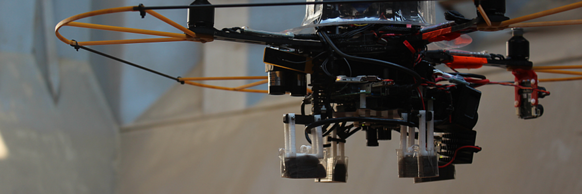 ROBINS project drone
