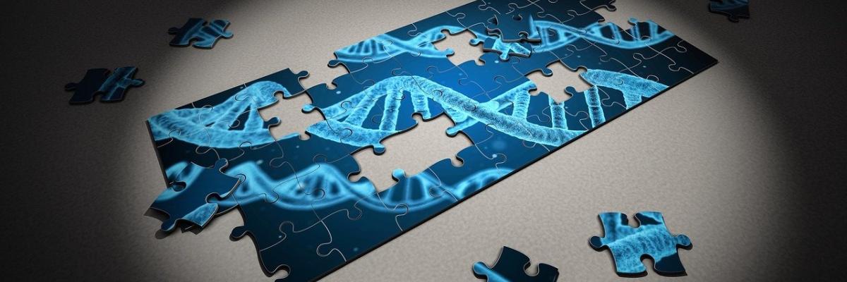 puzzle-dna