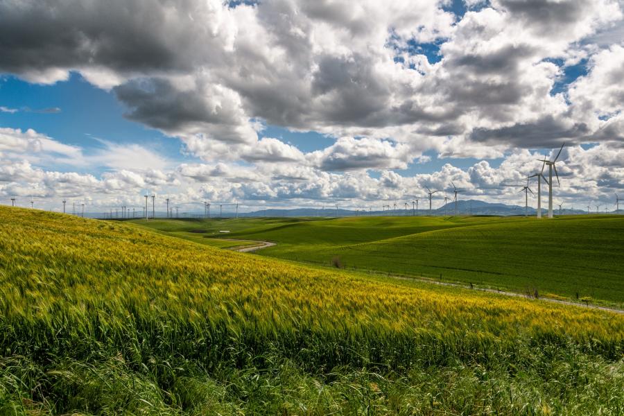 Panorama con pale eoliche