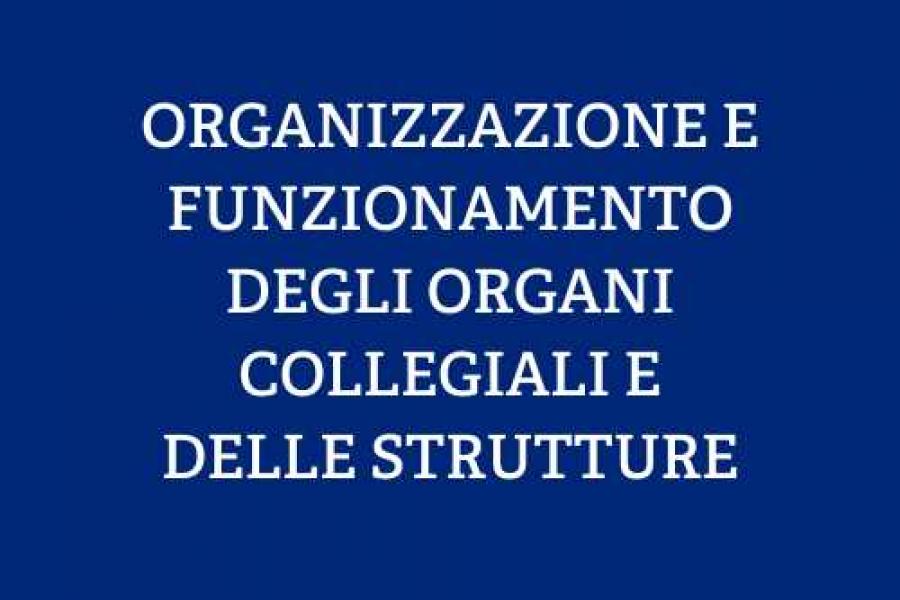 ORGANIZZAZIONE E FUNZIONAMENTO DEGLI ORGANI COLLEGIALI E DELLE STRUTTURE