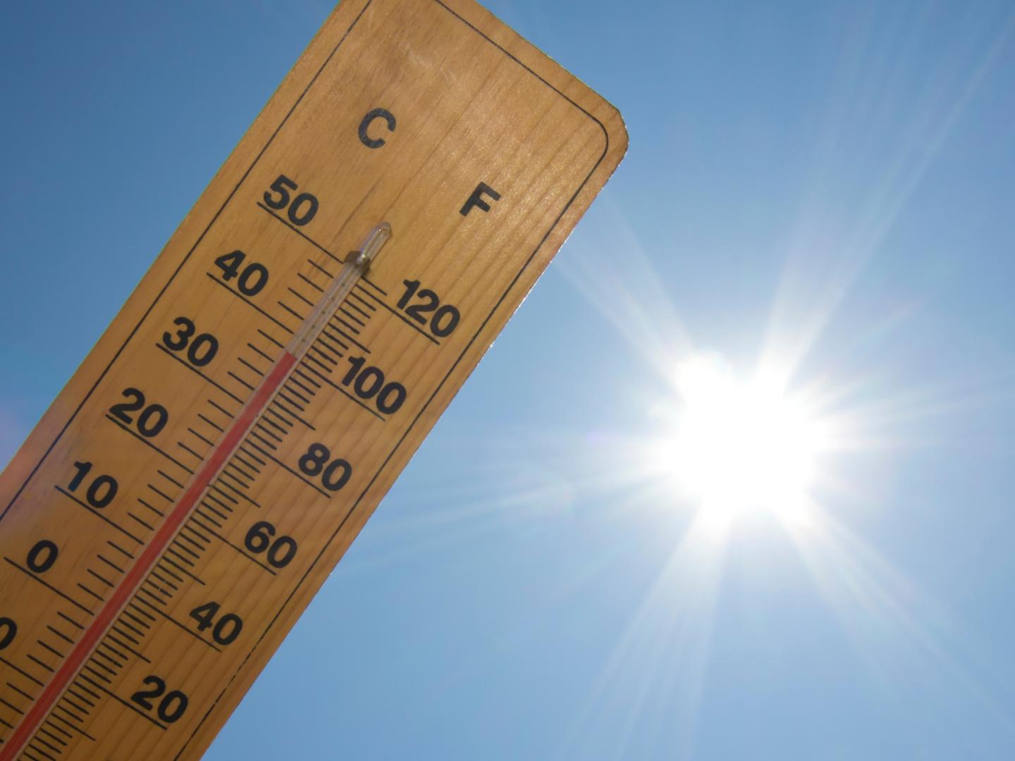 Air-conditioned UniGe libraries open to all