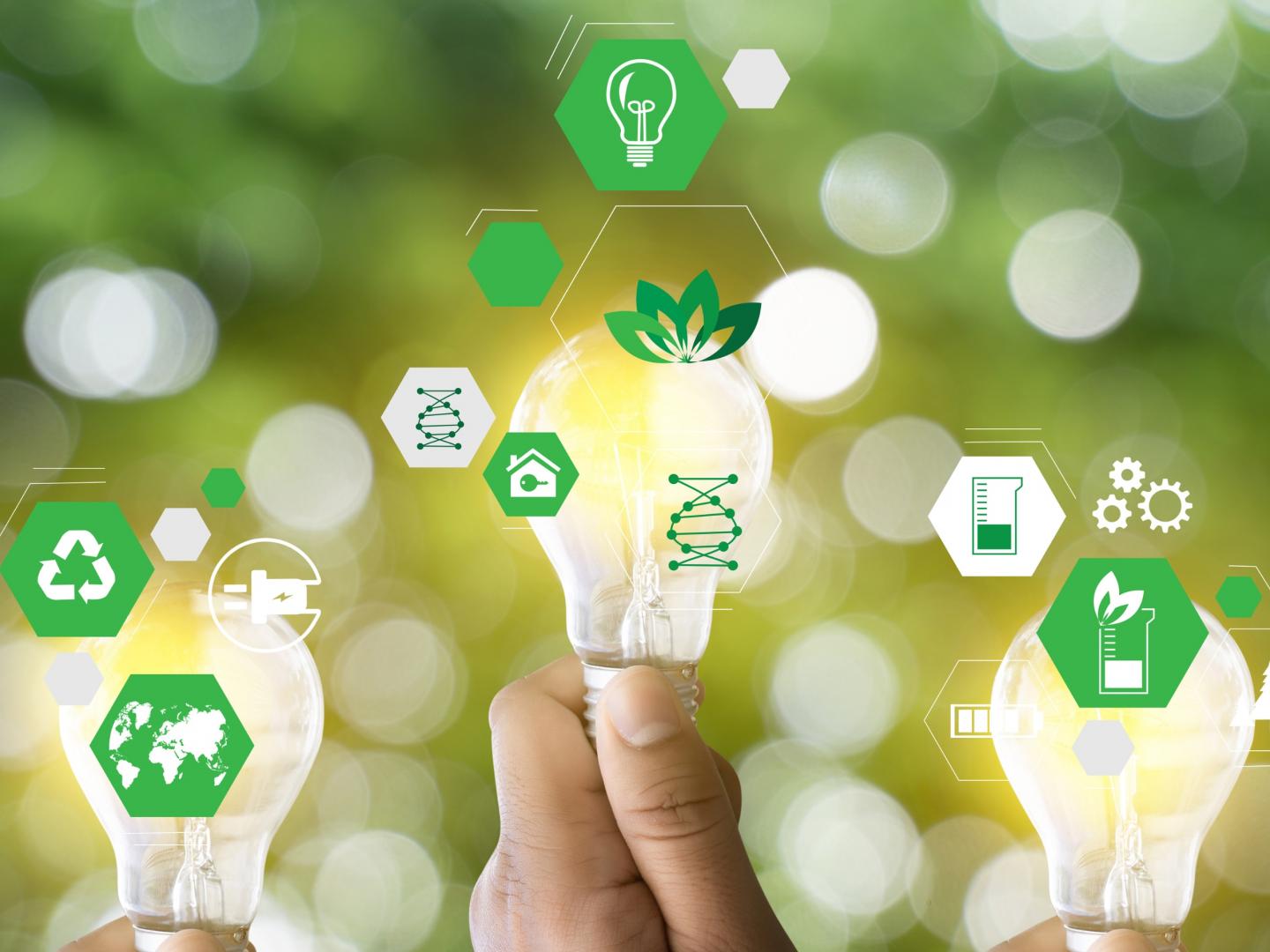 QS Sustainability Rankings 2026: UniGe migliora in tutte le aree