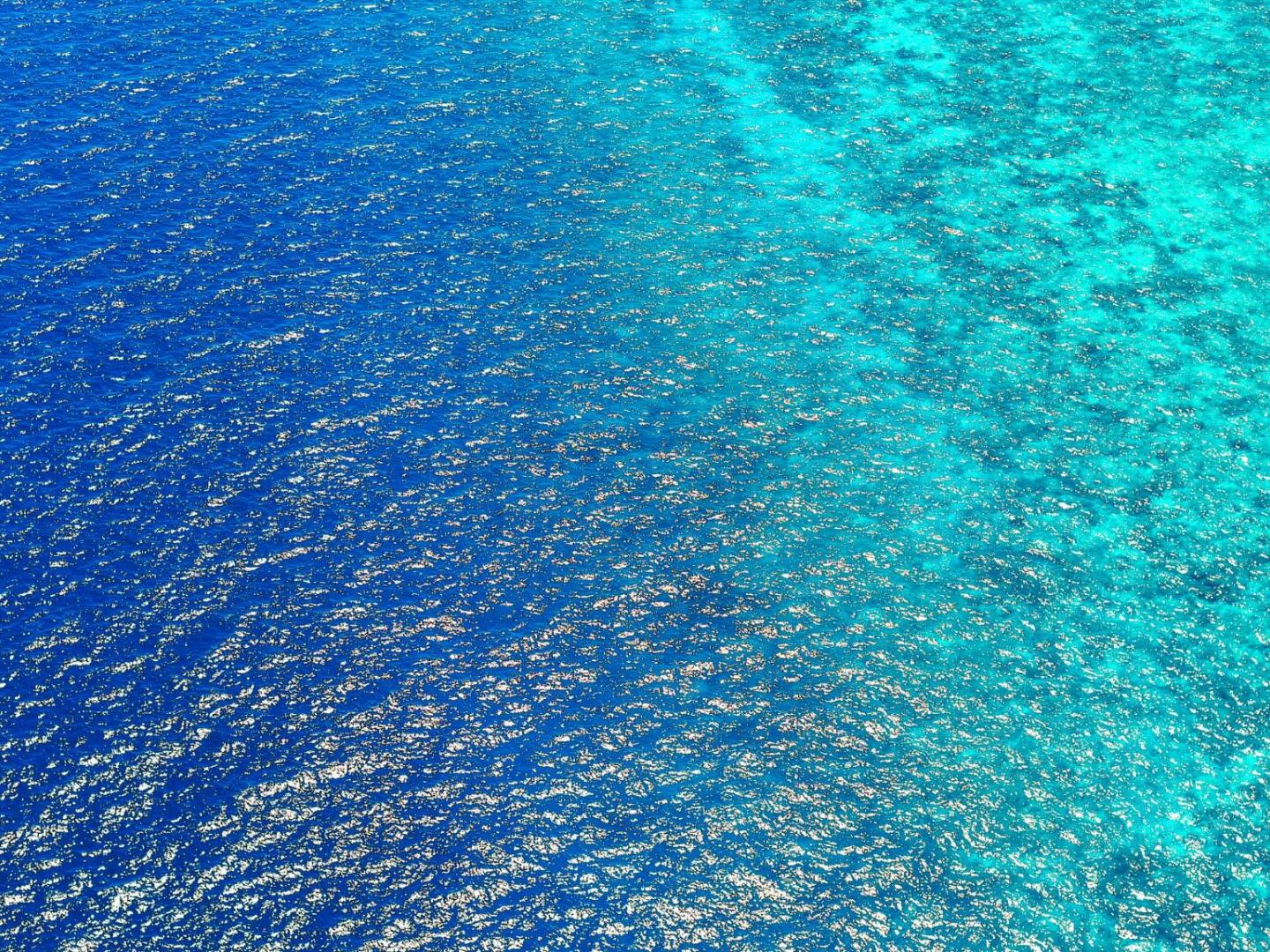 World Oceans Day 2026