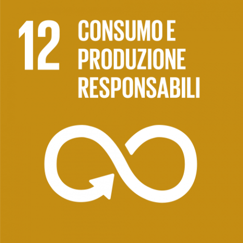 Obiettivo di sviluppo sostenibile 12>            </td>            <td width=