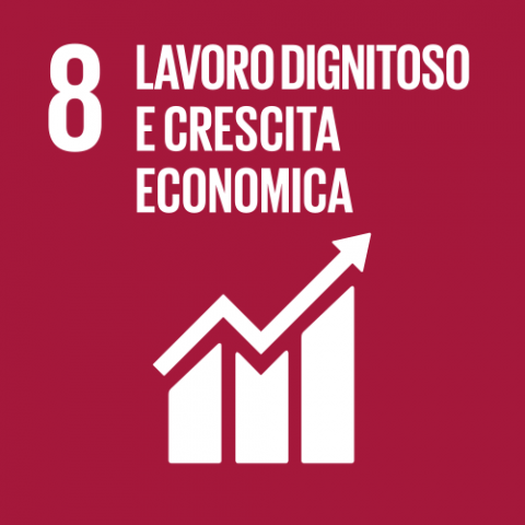  Obiettivo di sviluppo sostenibile 8>            </td>            <td width=
