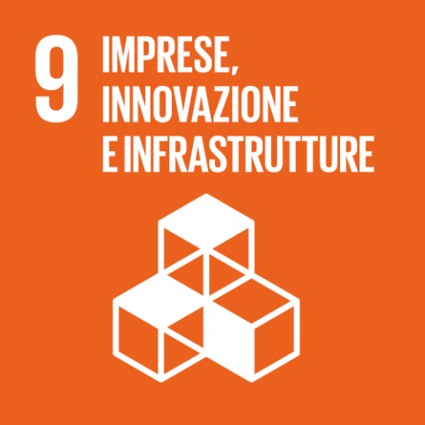  Obiettivo di sviluppo sostenibile 9>            </td>            <td width=